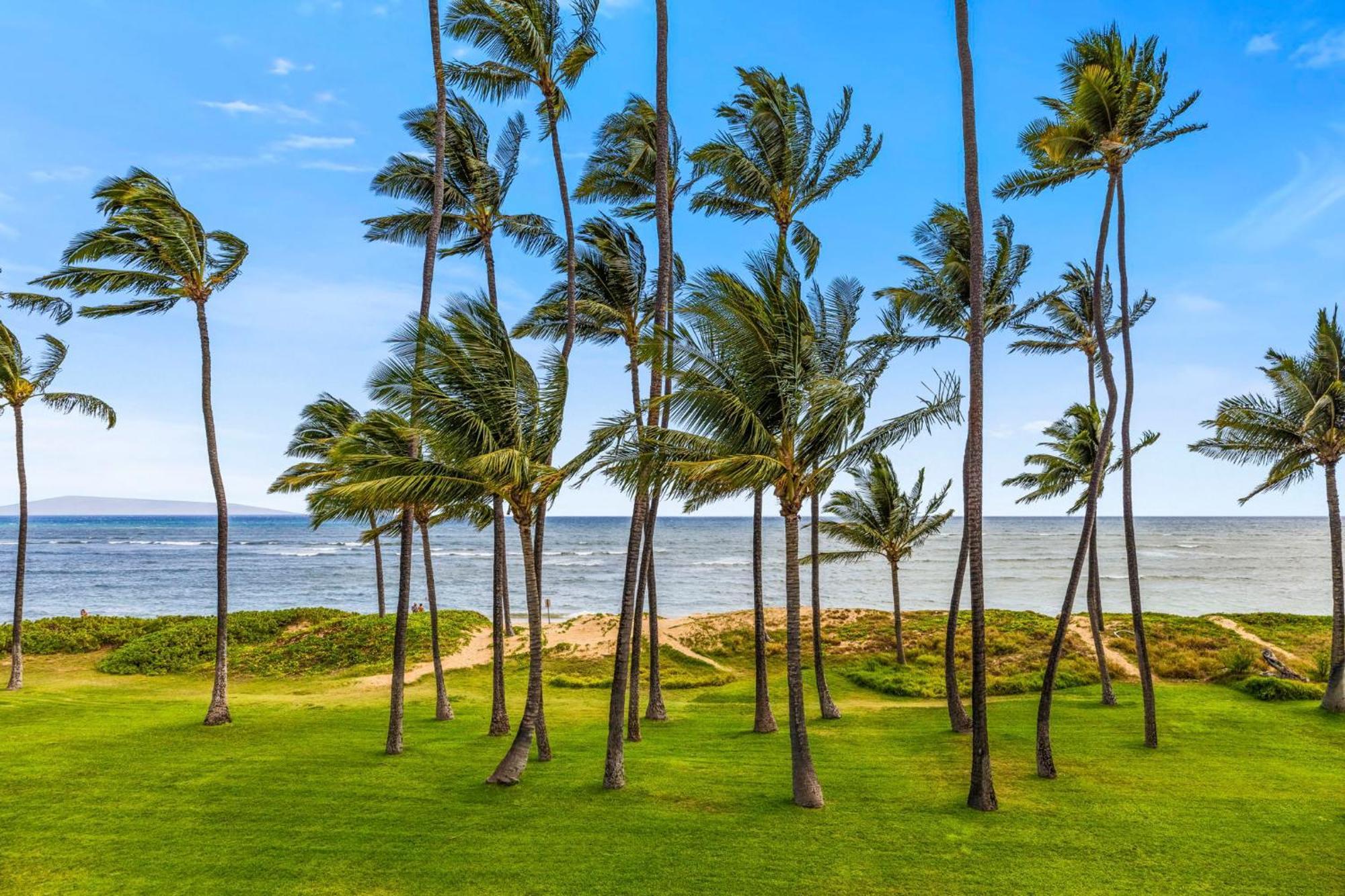Hale Kai O'Kihei 118 Vila Exterior foto